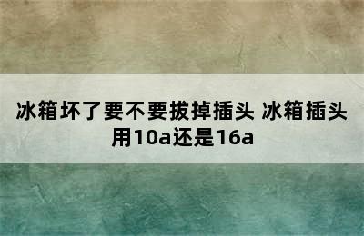 冰箱坏了要不要拔掉插头 冰箱插头用10a还是16a